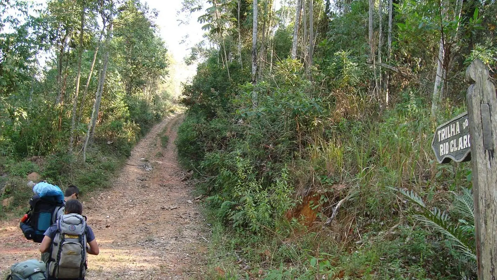 Gamo tour's, turismo, pasadias, transporte en ibagué, colombia