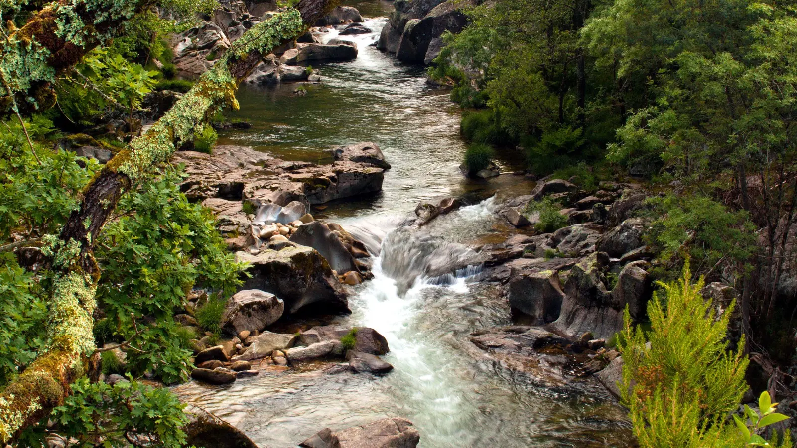 Gamo tour's, turismo, pasadias, transporte en ibagué, colombia
